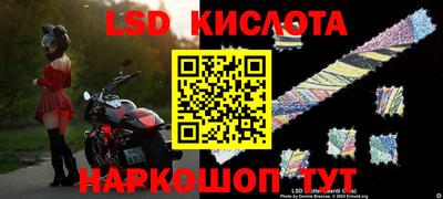 PSILOCYBIN Гуково