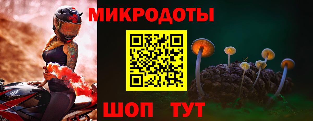 Псилоцибиновые грибы Psilocybine cubensis  Вход с VPN  Лянтор 